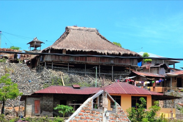 Rumah adat - old house - in Wolotopo. 